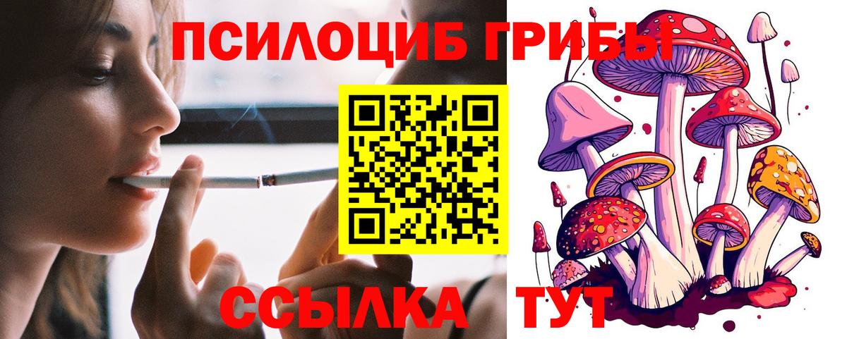 Псилоцибиновые грибы мицелий Хасавюрт